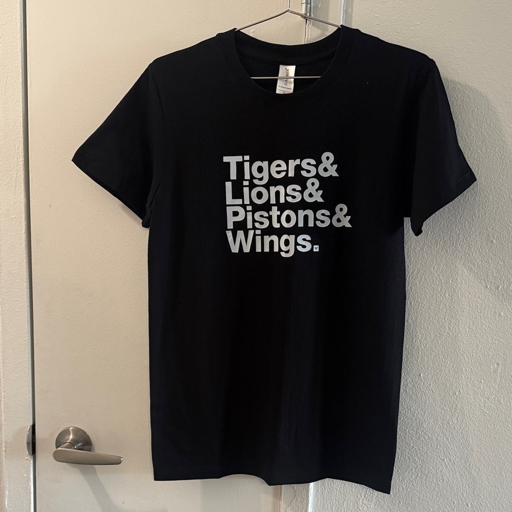 Detroit Sports Teams T-Shirt